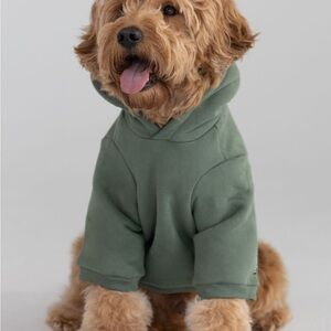 Comfrt Forest Green Dog Hoodie Size Large